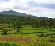 Puri Bagus Manggis