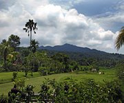 Puri Bagus Manggis