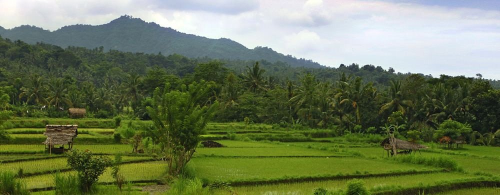 Puri Bagus Manggis