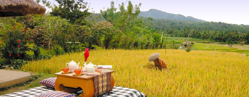 Puri Bagus Manggis