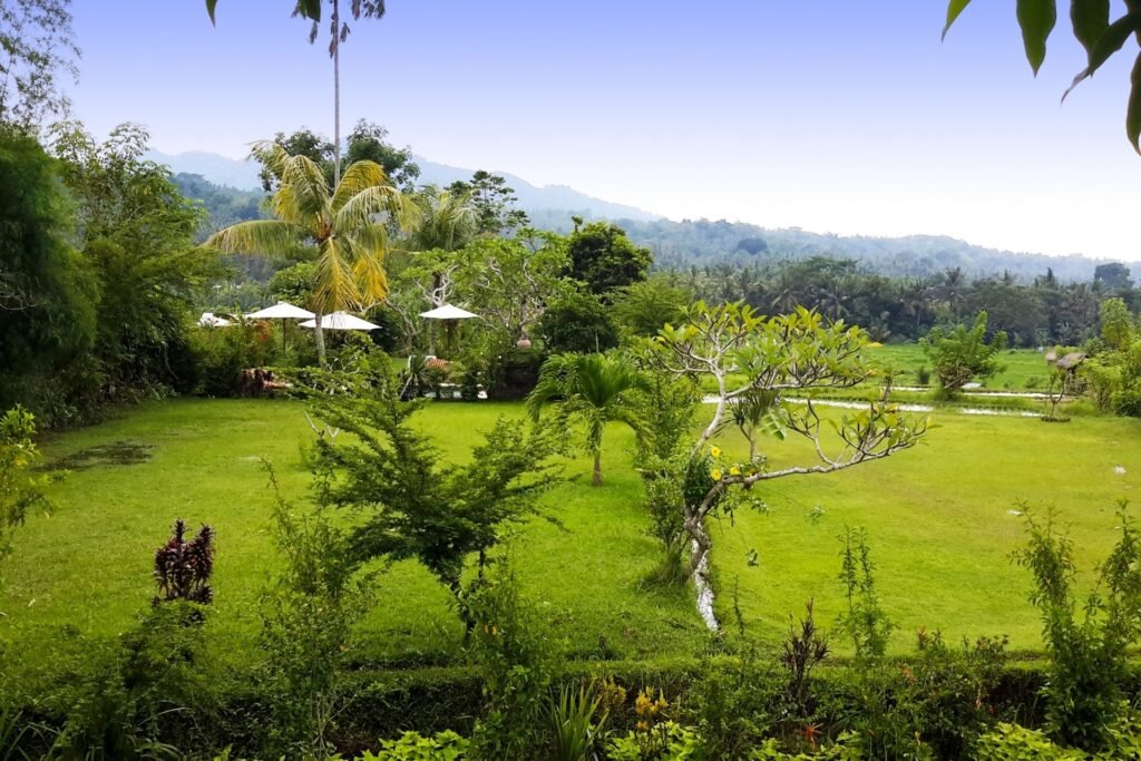 Resort facilities garden 2