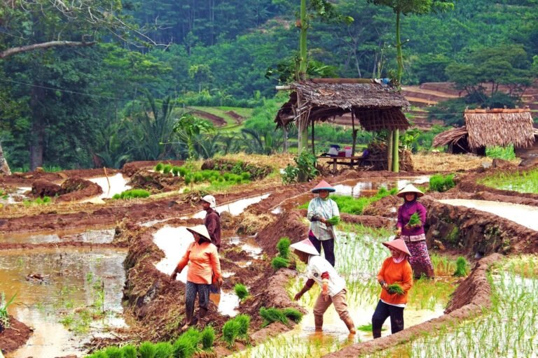 eco farm