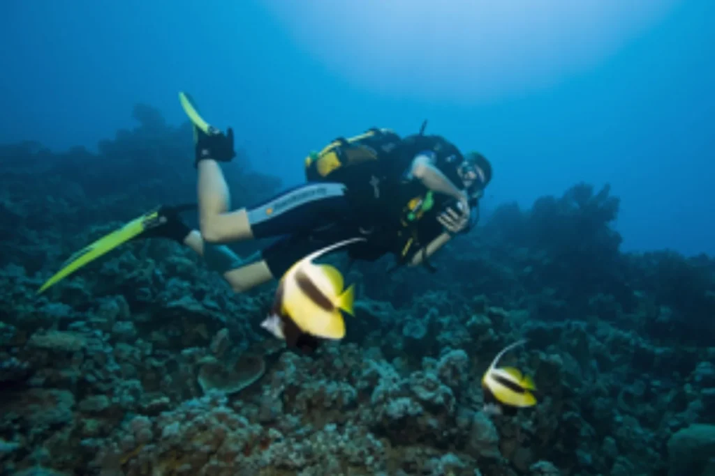 diving2